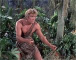 Tongo4.jpg